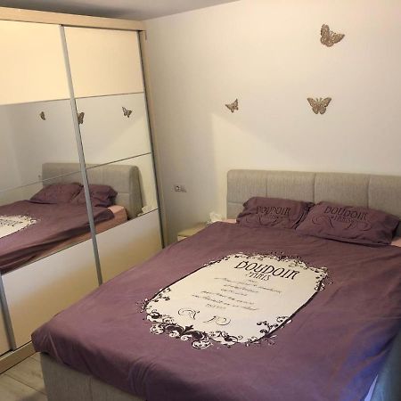 Apartament modern Târgoviște în regim hotelier Targoviste Exterior foto